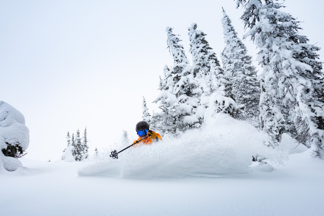 Big-white-opening-day-2025-01